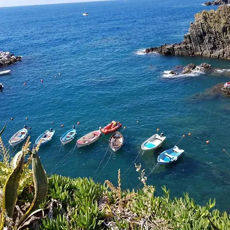 Vitis Vitae Vernazza, San Bernardino 5 Terre *